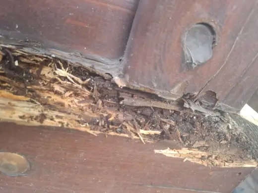 Daño de carcoma en madera antes del tratamiento